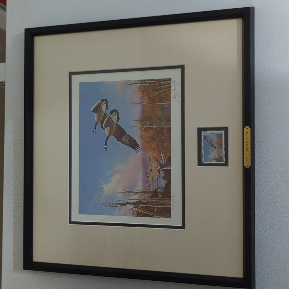 Ducks unlimited framed print
